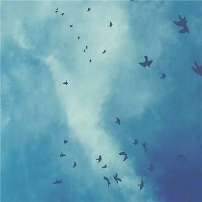 半岛app下载入口