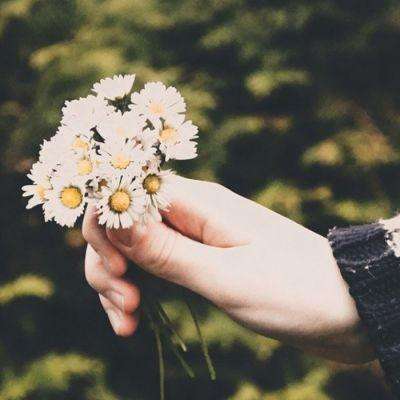 kaiyun体育全站下载手机版