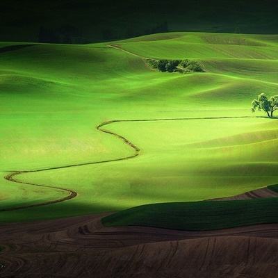 爱游戏(AYX)下载手机版