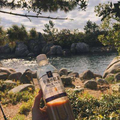 加拿大pc入口下载手机版截图