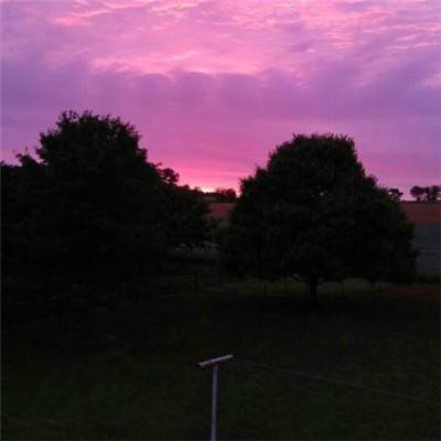 Bob体育登录入口APP下载