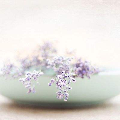 ROR体育app官方下载