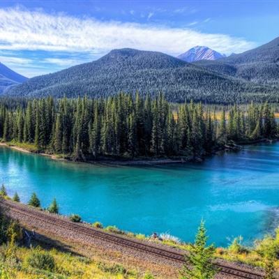 加拿大pc入口下载手机版截图