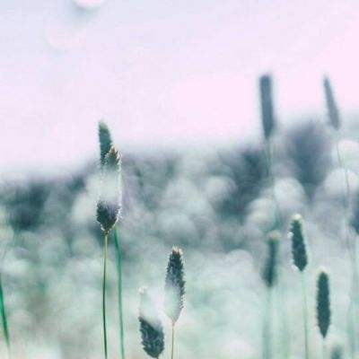 爱游戏ayx体育登录截图