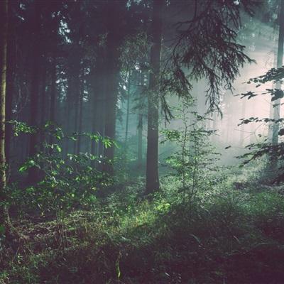 bob半岛在线登录